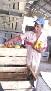 Los frutos de esta zona son conocidos por su calidad. Foto: Luis Alberto Portuondo Ortega.